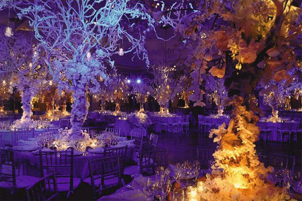 winter-wedding-receptiondecor-dreammakers