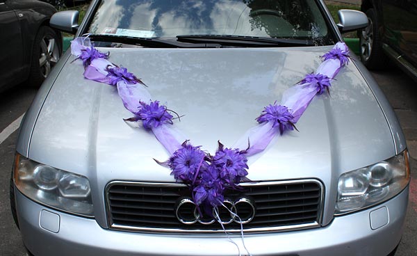 Лента на машину "Purple Dream"
