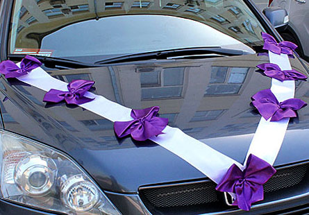 Автомобильные ленты на свадьбу Миледи (2 луча) (фиолетовый/белый)