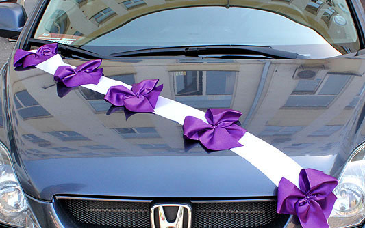 Автомобильные ленты на свадьбу Миледи (1 луч) (фиолетовый/белый)