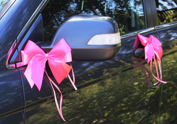 Комплект бутоньерок на авто Фантазия (розовый)