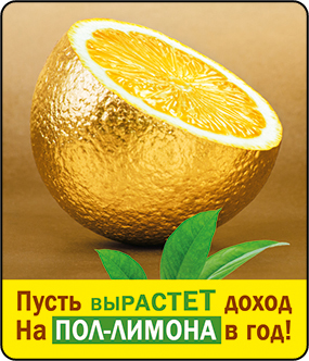 Магнит на холодильник "Пусть вырастит доход на пол-лимона в год"