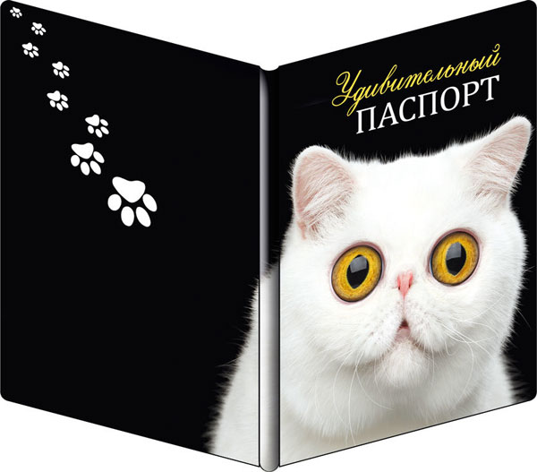 Сувенирная обложка для паспорта "Котик"